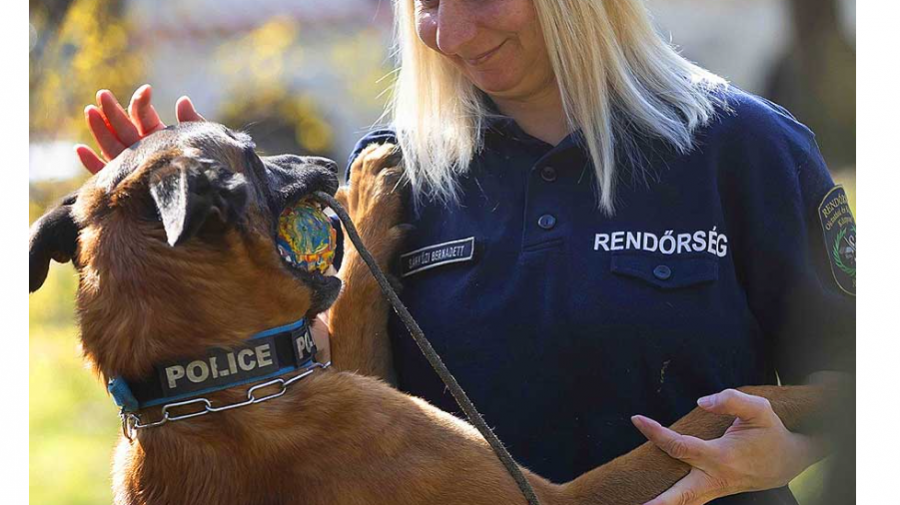 A rendőrség egyetlen bankjegykereső kutyájának kiképzője a dunakeszi bázison dolgozik