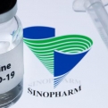 A WHO zöld utat adott a Sinopharm COVID-19 vakcina sürgősségi felhasználására