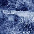 A régi Alagi Temetőben 22 db sírhely felszámolása válik szükségessé. Érdeklődni lehet a temetői ügyfélszolgálati irodában.