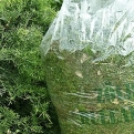 Házhoz menő zöldhulladékgyűjtés Dunakeszin