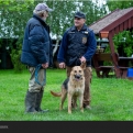 Dunakeszire került Rambo, az ukrajnai Harkivban, utcai harcokban súlyos sérülést szerzett németjuhász
